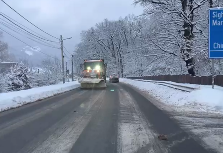 Copaci prăbușiți sub greutatea zăpezii în Baia Mare. Ninge pe majoritatea drumurilor naționale din Maramureș