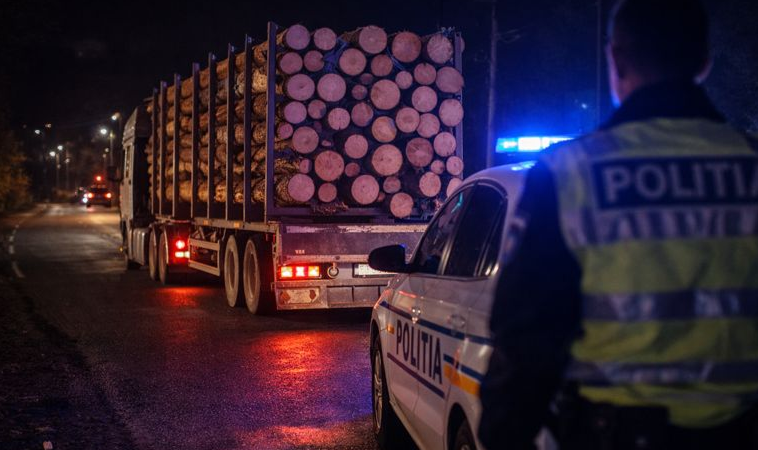 Camion cu lemne fără acte, confiscat de polițiști la Borșa