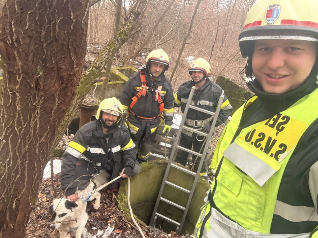 Echipa de salvatori voluntari alături de cățelul salvat