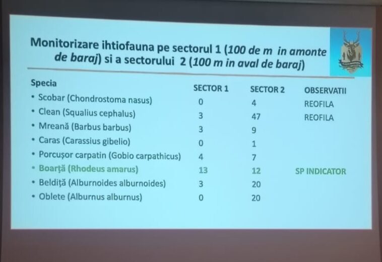 Argumentele pentru demolarea Barajului Cătălina, prezentate într-un workshop cu specialiști și autorități