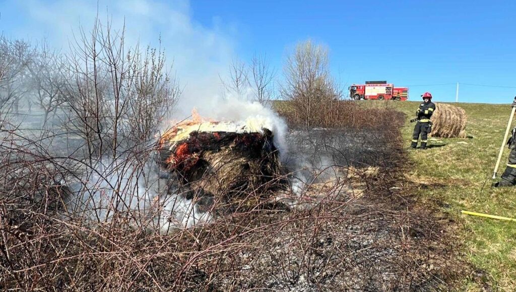 Pompierii intervin la incendiile de vegetație