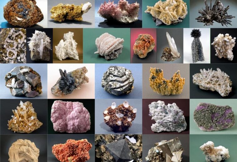 „Pietre care vorbesc…Pietre care cântă” – recital de poezie și muzică la Mineralogie