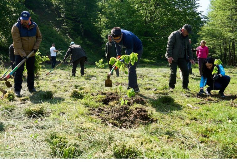 Acțiune de plantare inițiată de Brian Cristian, deputat de Maramureș