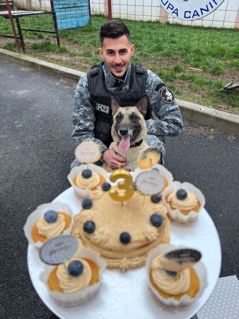 Dovah, câinele antidrog, împlinește 3 ani