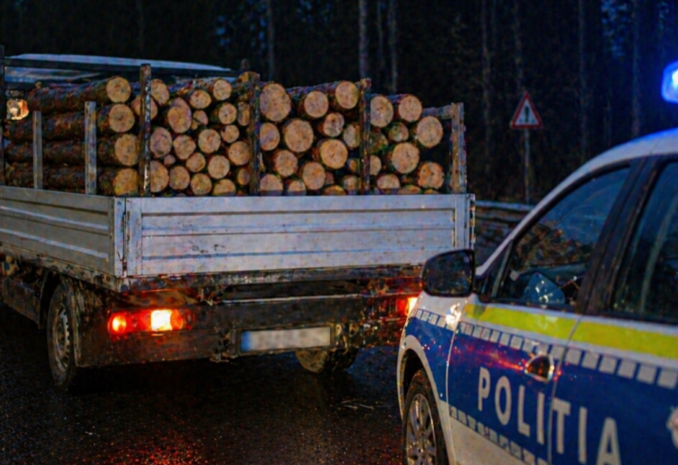 Transport de lemn „umflat” în acte, oprit la Vișeu de Sus. Polițiștii au confiscat 1,28 mc de lemn