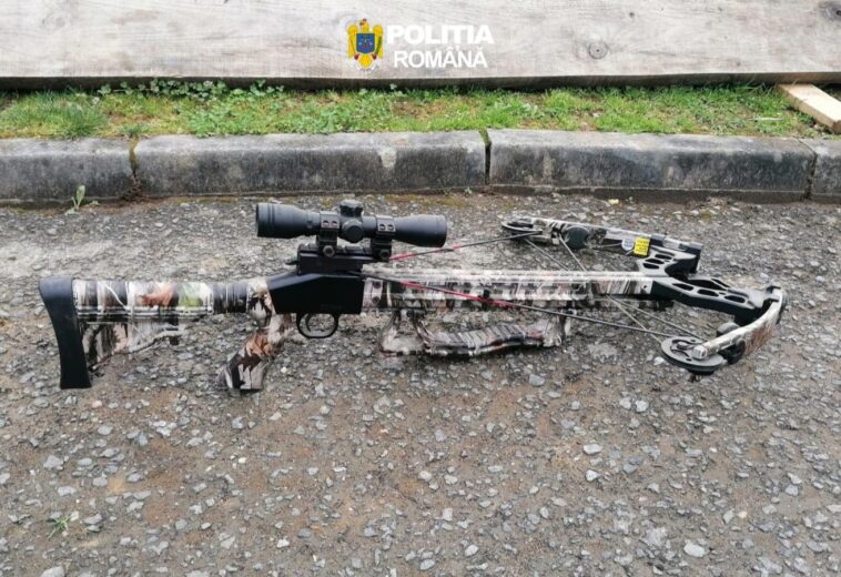 Percheziții în Maramureș. 8 persoane reținute și peste 150 mc de lemn indisponibilizat (VIDEO)