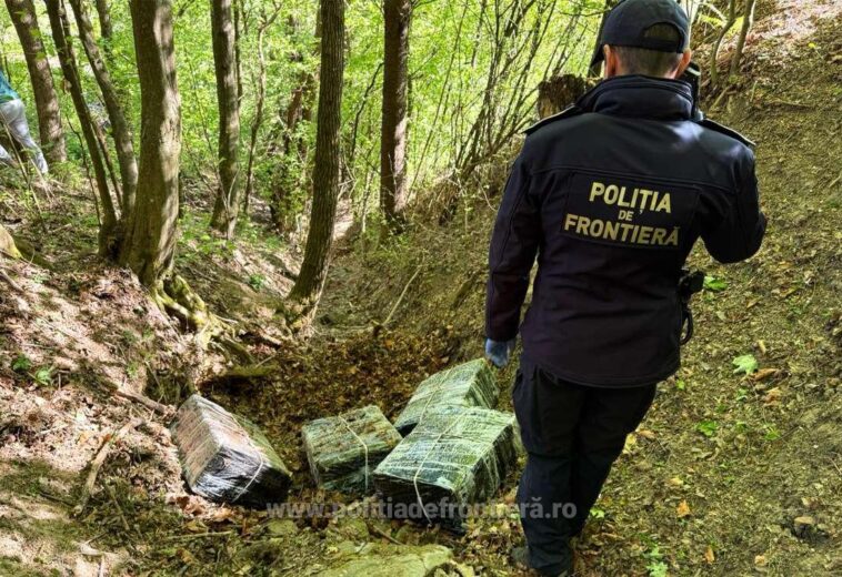 Țigări de contrabandă în valoare de peste 26.000 de euro descoperite la percheziții în Valea Vișeului. Autorii au implicat și un minor