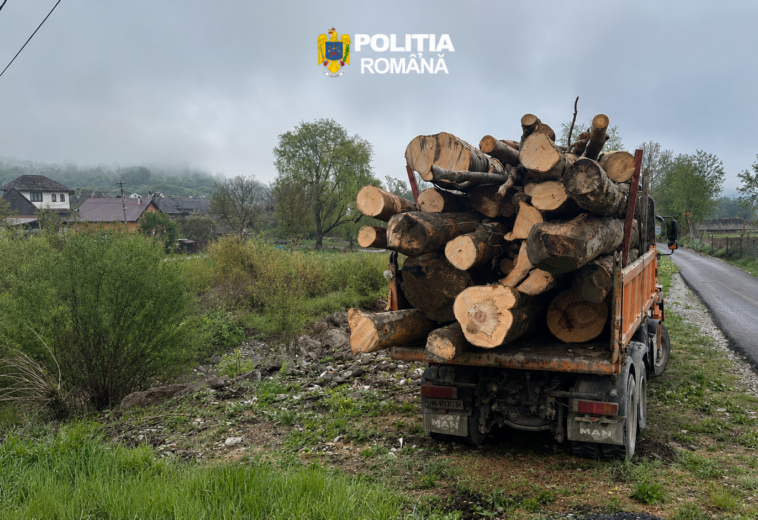 Mașina cu 10 metri cubi de lemn, fără acte, confiscată de polițiști la Dragomirești