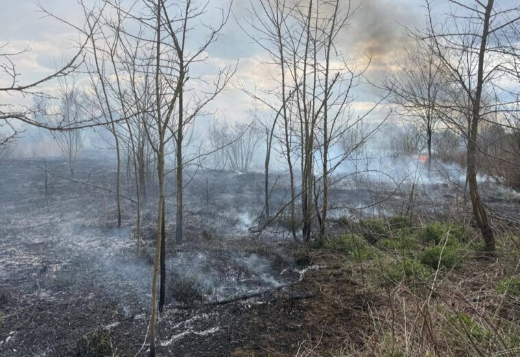 100 de intervenții în 4 zile, în Maramureș. Incendiile de vegetație au făcut ravagii