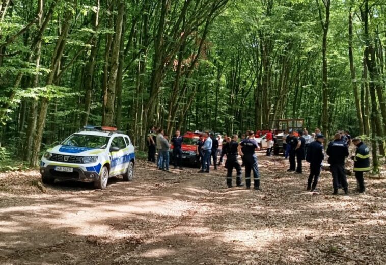 Bărbat de 71 de ani, căutat ore întregi în pădurile din Maramureș. A plecat după ciuperci și nu s-a mai întors