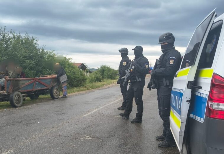Doi cai puși la adăpost la Vălenii Lăpușului. Polițiștii au dat amenzi de peste 13.000 de lei