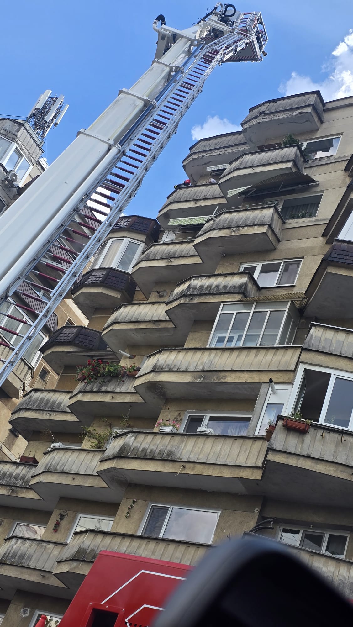 Intervenție la înălțime pompieri Baia Mare