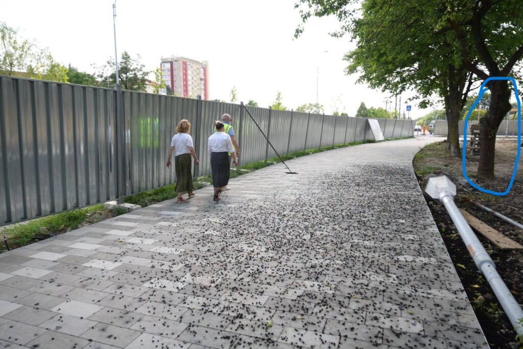 Ioan Doru Dăncuș în vizită de lucru pe șantierul „Parcul Universității”