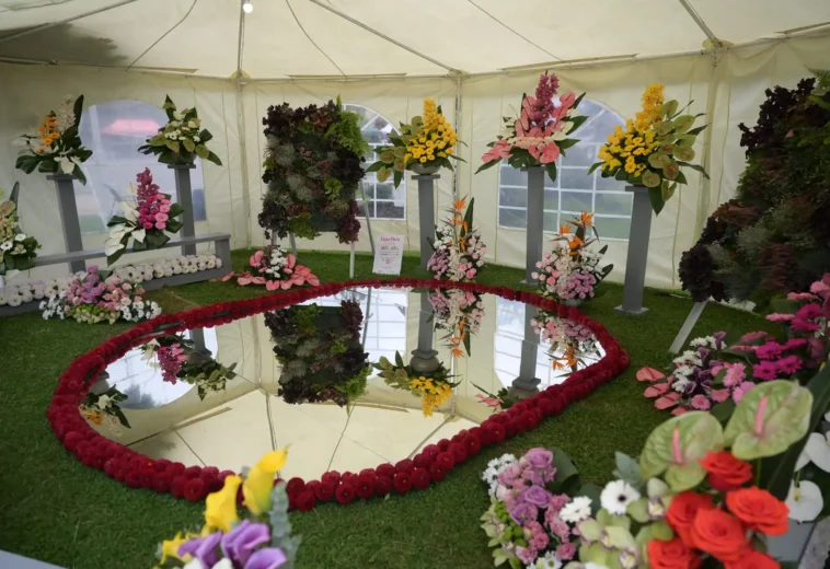 Expo-Flora revine la Sărbătoarea Castanelor. Primăria Baia Mare pregătește și concursul pentru cele mai frumoase grădini