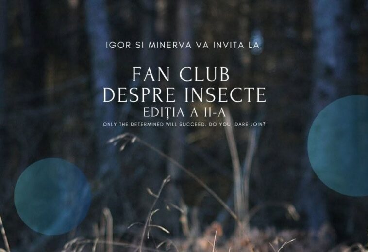 Clubul despre Insecte revine în Baia Mare. Trei întâlniri pentru curioși, de la 7 la 70 de ani