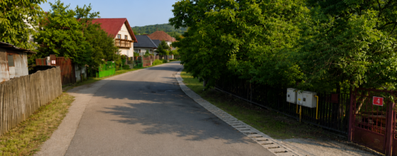 Restricții pe Miron Costin