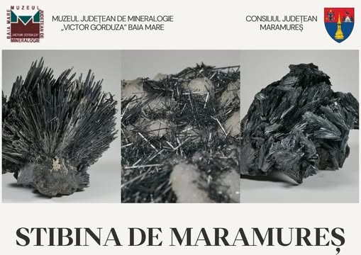„Stibina de Maramureș” – o expoziție dedicată florilor de mină din Maramureș la Mineral EXPO Cavnic