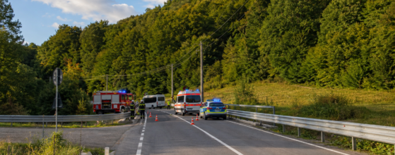 Simulare plan Roșu Gutâi