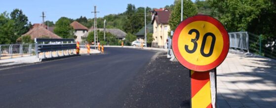 Termen prelungit strada Victoriei