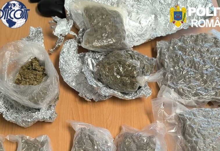 Bărbat prins cu 1,7 kilograme de canabis în Dealul Groșului. A fost arestat pentru 30 de zile