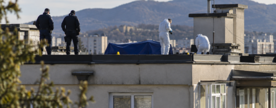 Ucidere din culpă IL Caragiale