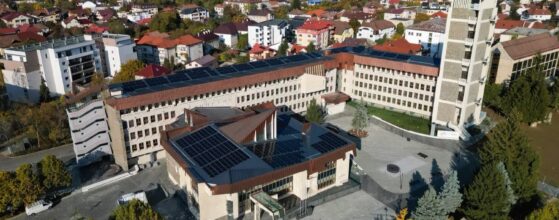 Consiliul Județean