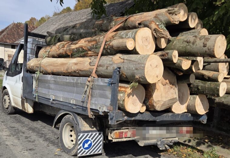 material lemnos confiscat